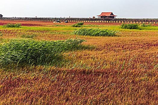 cách đánh lô dàn hiệu quả