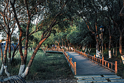 xosobinhduong