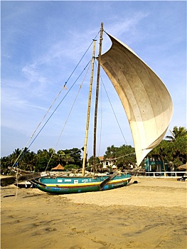 cau rong bạch kim